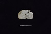 藏品(石刀)的圖片